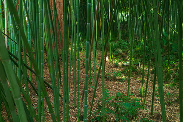 Similar image 22473044