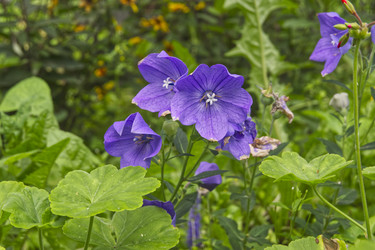 Similar image 22472953