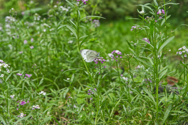 Similar image 22472954