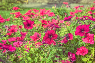 Similar image 22472955