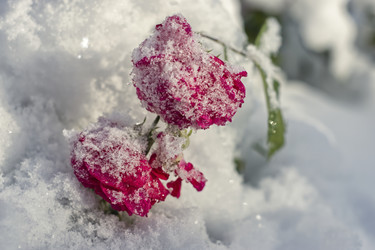 Similar image 22472956