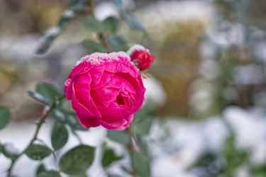 Similar image 22472957