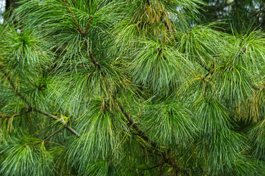 Similar image 22472958