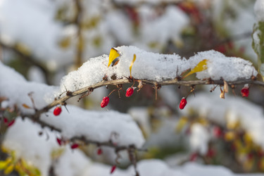 Similar image 22472959