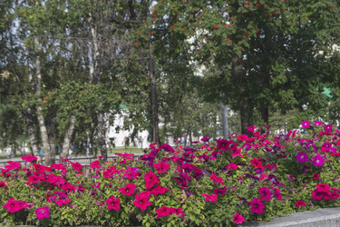 Similar image 22472975