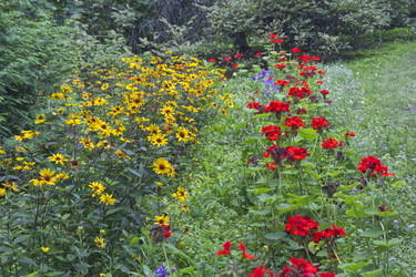 Similar image 22472976