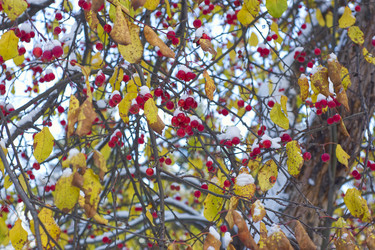 Similar image 22472977