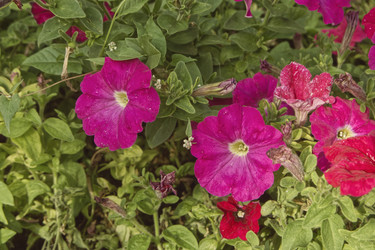 Similar image 22472978