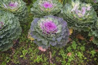 Similar image 22472979