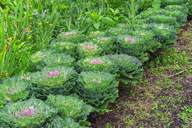 Similar image 22472981