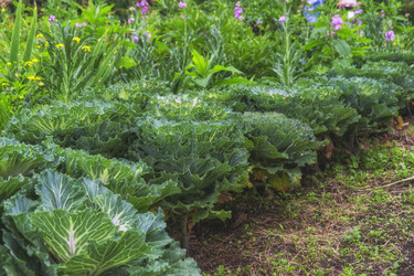 Similar image 22472982