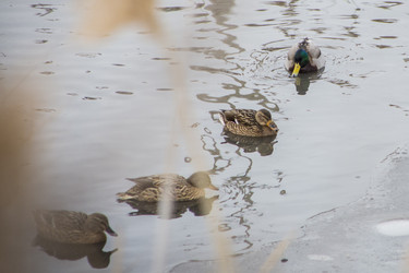 Similar image 22472929