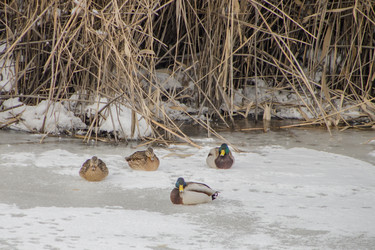 Similar image 22472930