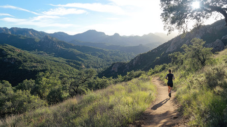 Similar image 22473121