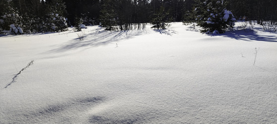 Similar image 22472997