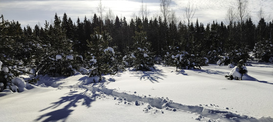 Similar image 22472998