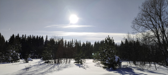 Similar image 22472999