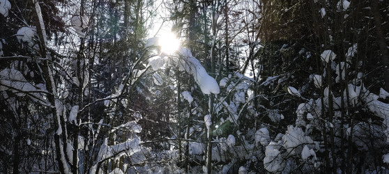 Similar image 22473000