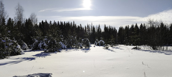 Similar image 22473010