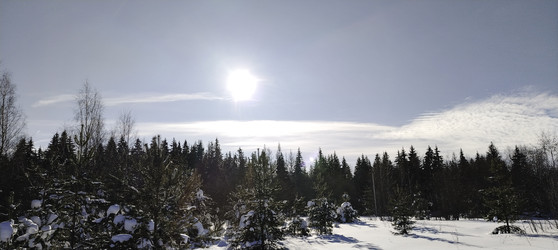 Similar image 22473011