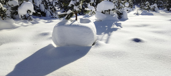 Similar image 22473012