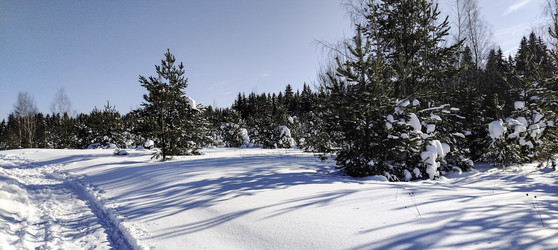 Similar image 22473013