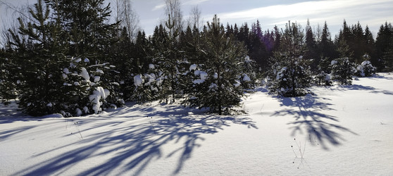 Similar image 22473014