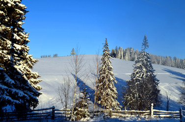 Similar image 22473239