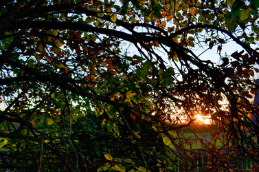 Similar image 22473254