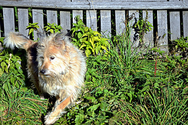 Similar image 22473256