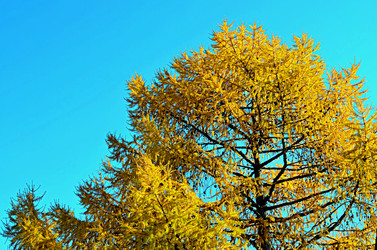 Similar image 22473257