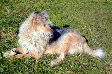 Similar image 22473258