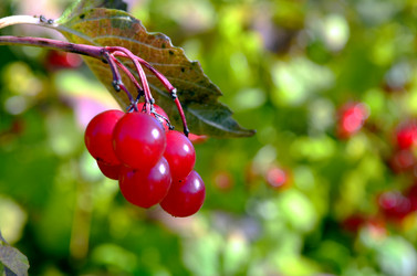 Similar image 22473259