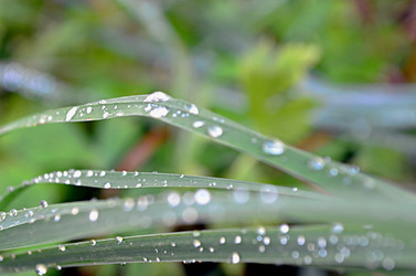 Similar image 22473260