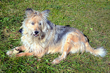 Similar image 22473261