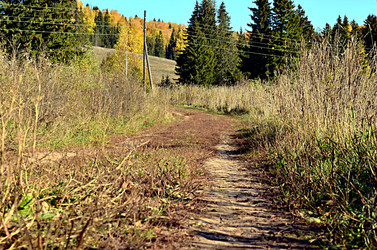 Similar image 22473262