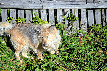 Similar image 22473263