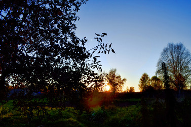 Similar image 22473264