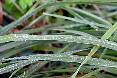 Similar image 22473265