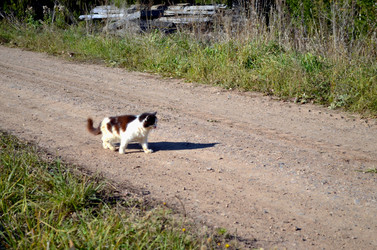 Similar image 22473266