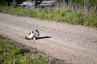 Similar image 22473267