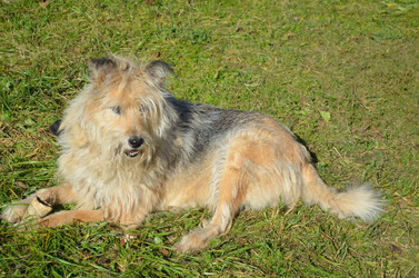 Similar image 22473268