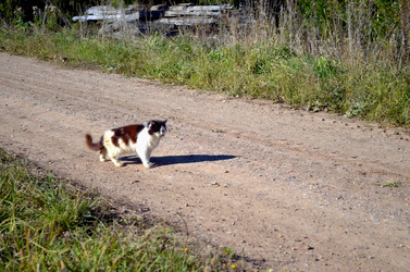 Similar image 22473269