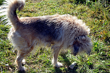 Similar image 22473270