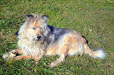 Similar image 22473271