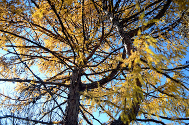 Similar image 22473272