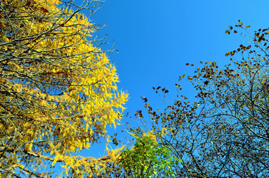 Similar image 22473273