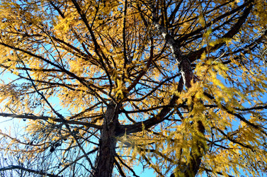 Similar image 22473274