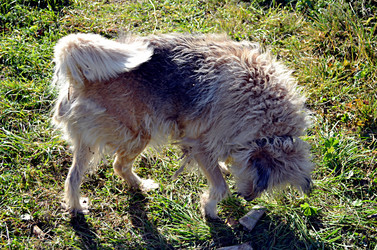 Similar image 22473275