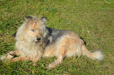 Similar image 22473276